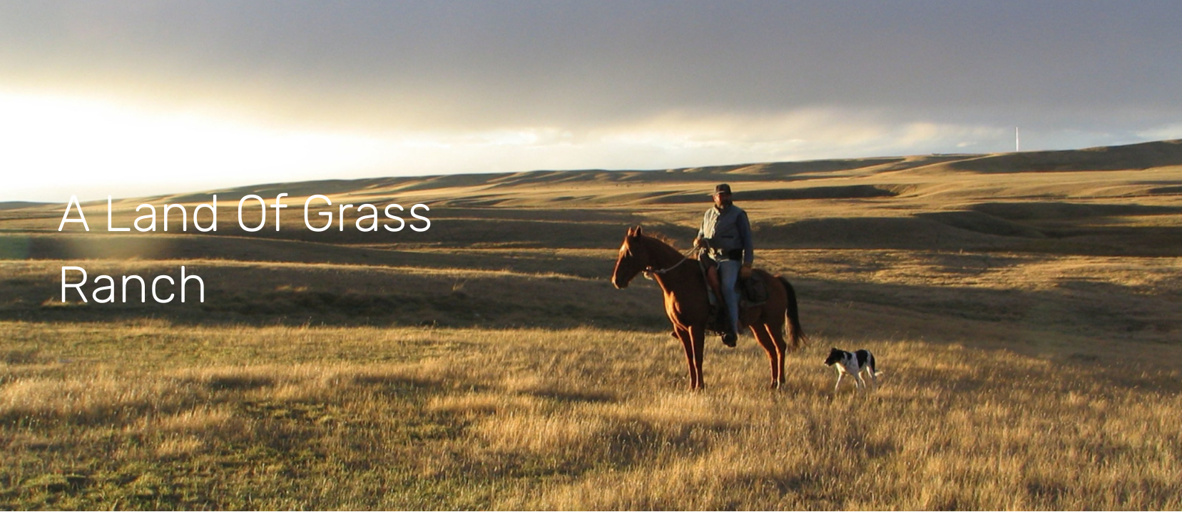 A Land Of Grass Ranch Montana Quivira Coalition