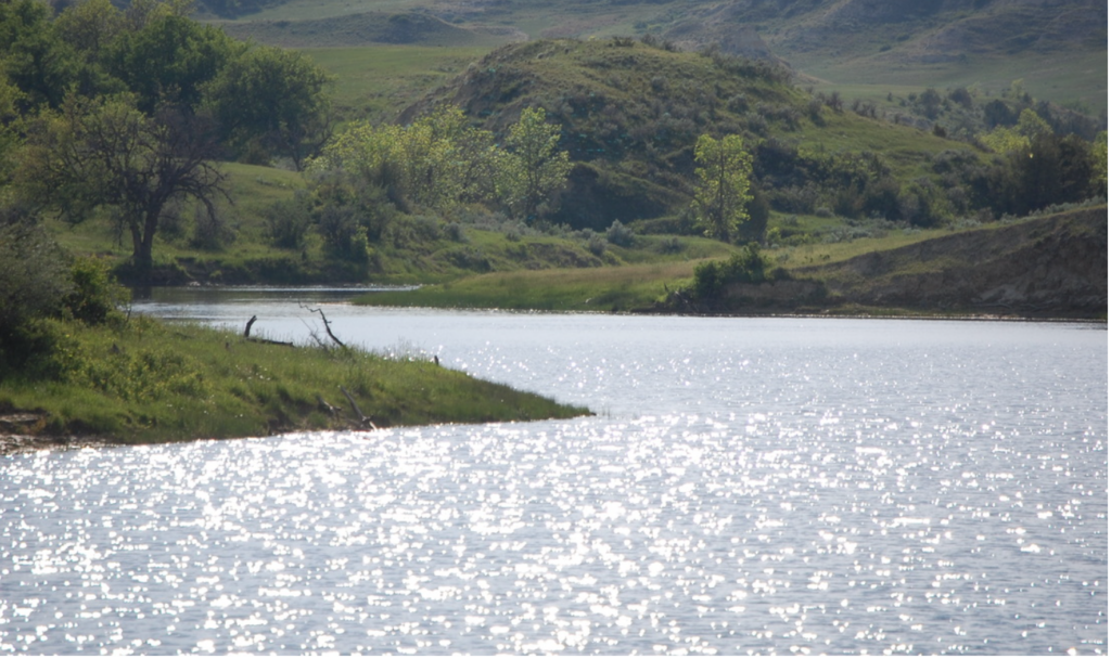 Screen Shot 2021-10-30 at 2.15.51 PM