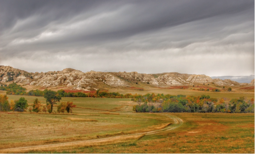 Screen Shot 2021-10-30 at 2.16.12 PM