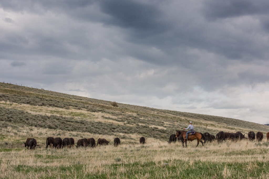 Kate Mannix Riding A Horse