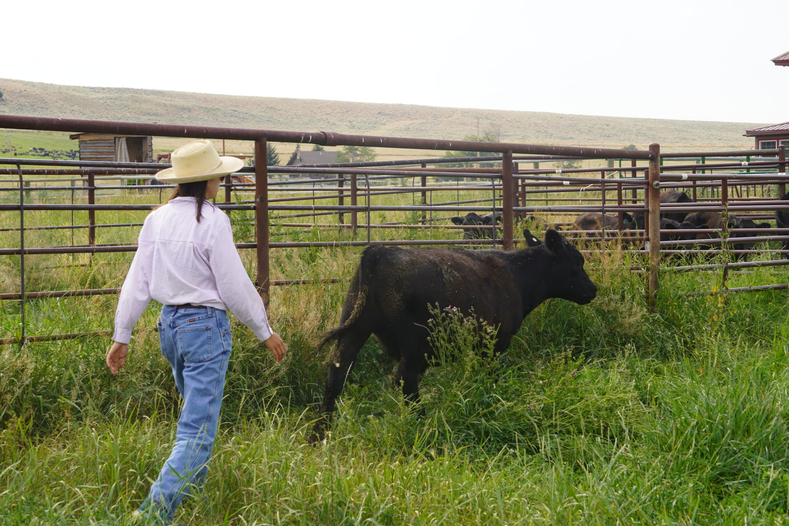 The New Agrarian Toolkit: A Webinar Series to Dig Deep and Level Up - #6.  Life Hacks for the Long Haul: Emotional Wellness for Agrarians and their  Communities - Quivira Coalition