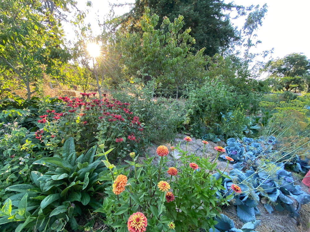 Erik Landscape PermacultureArtisans