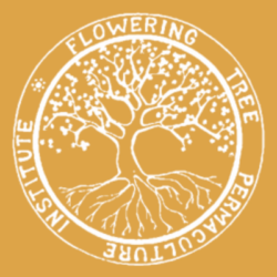 flowering tree e1700847659246