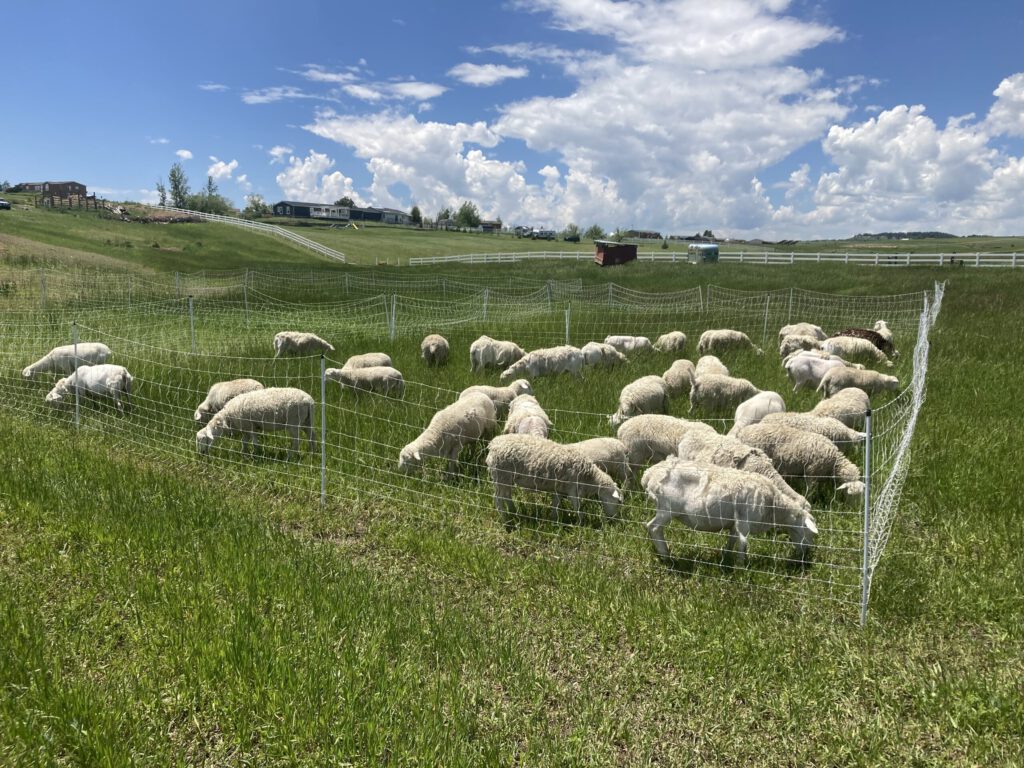 D610A4D0 43B1 420D BA08 0E2C80AF4B1C William Vogl scaled 1