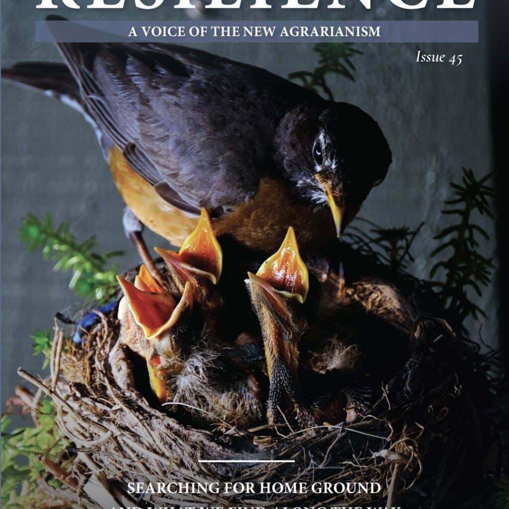 Resilience, Issue #45 - Searching for Home Ground, September 2024