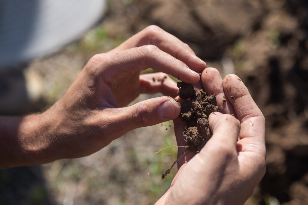 Two hands holding soil
