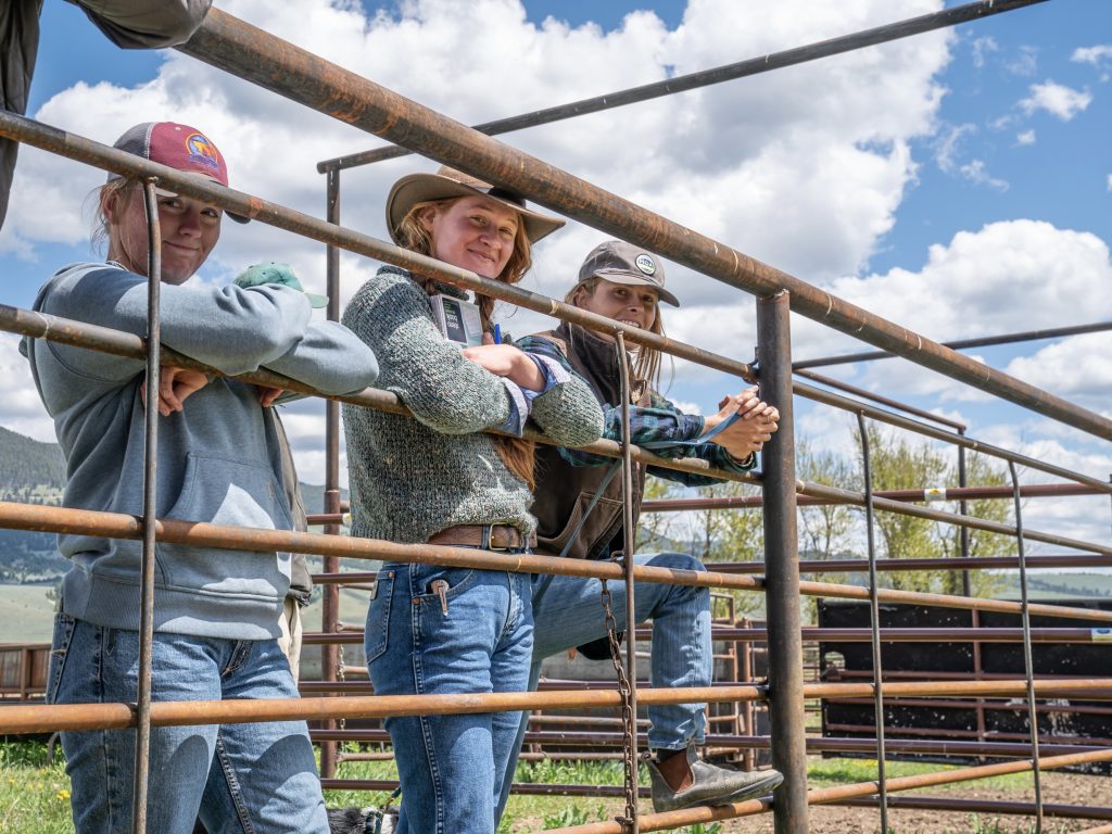 Three women leaning on a tall fence in a cattle sorting pen, looking through the bars at the camera and smiling.