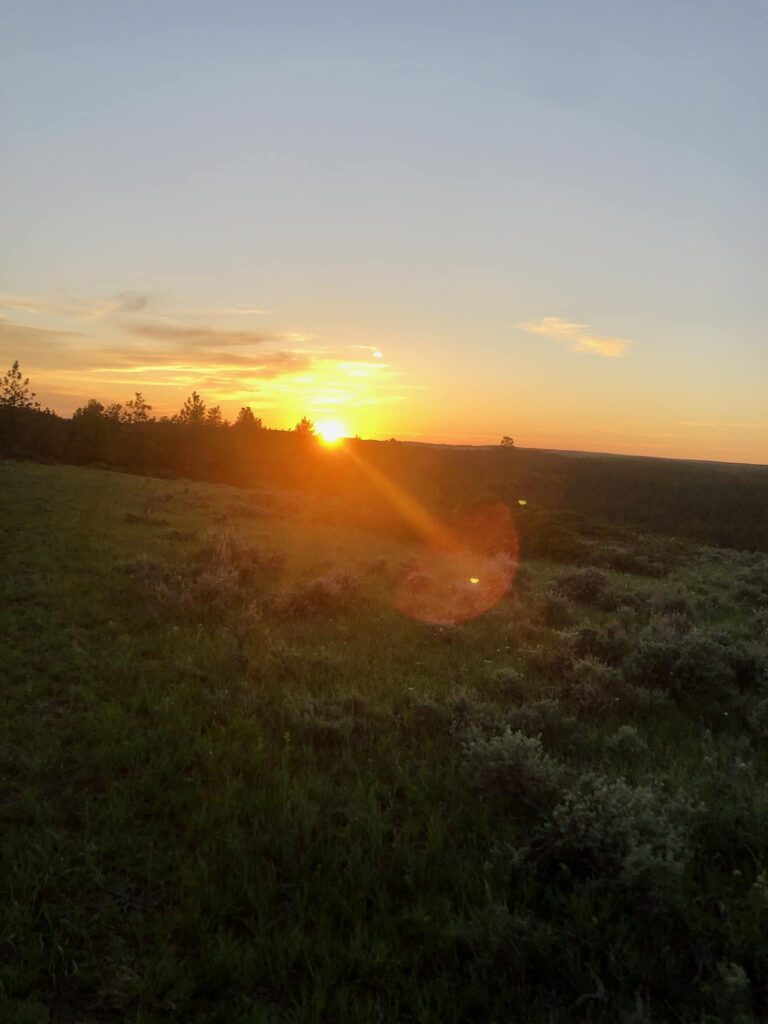 484170598_2021727321636608_8048808259393146447_n