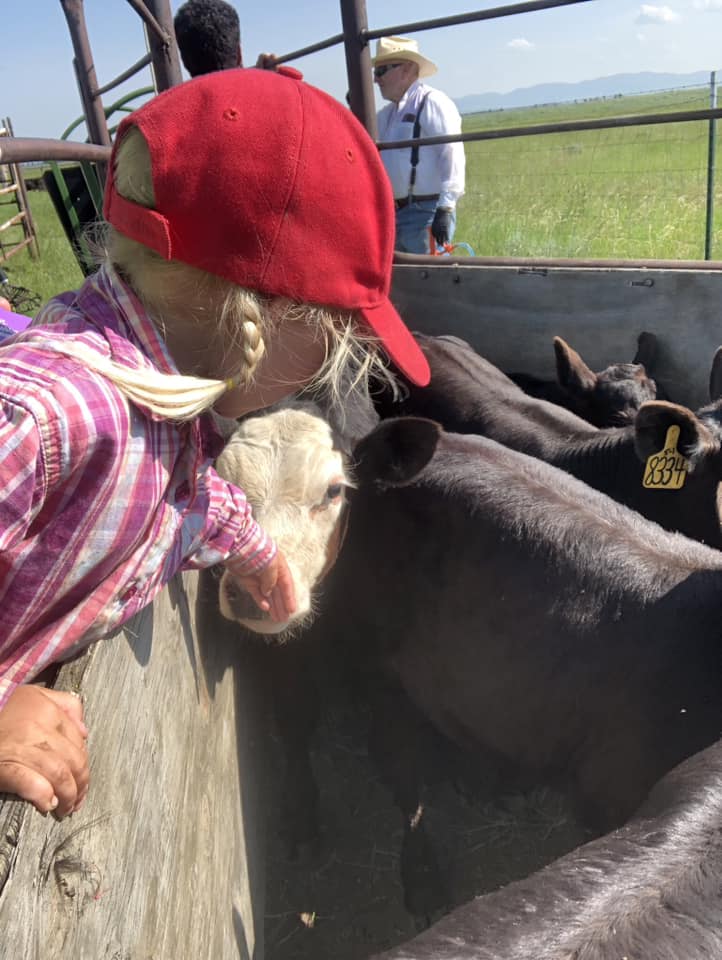 486778297_2032803467195660_4384192212256176726_n