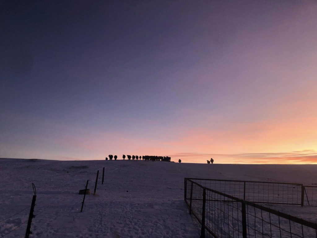 490408266_2048204012322272_1704033461303274684_n (1)