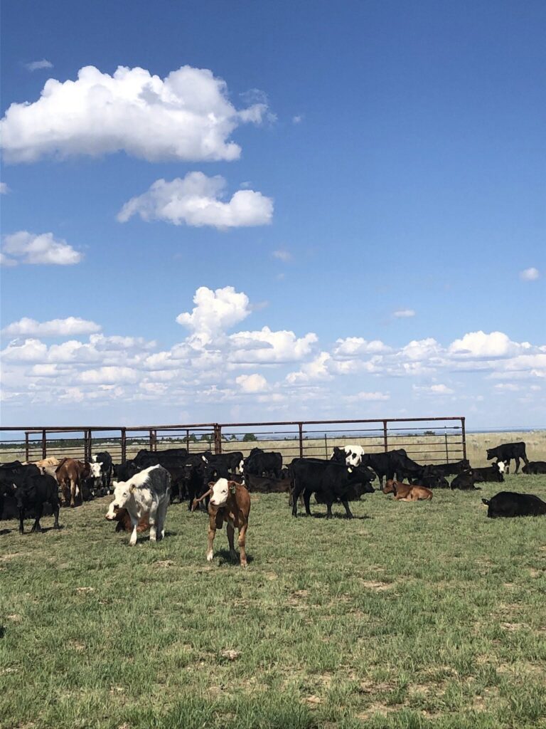 532047609_2146845202458152_7017121948127695955_n (1)