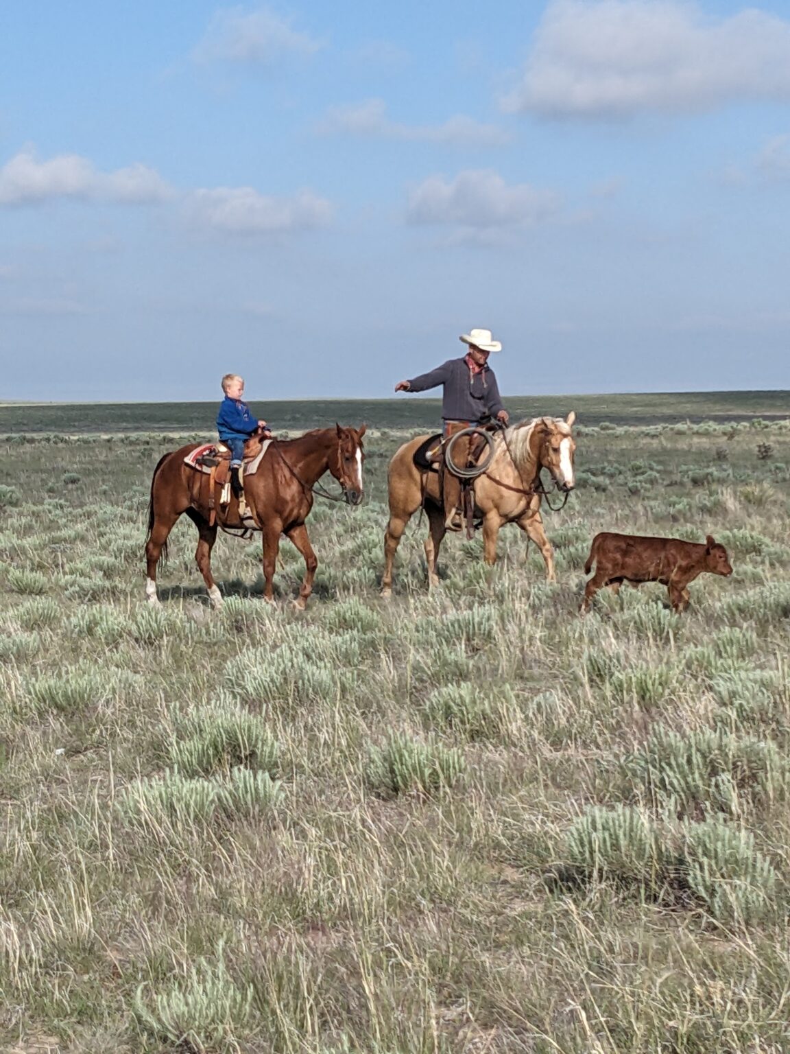 Basin Ranch Texas Chico Basin Ranch - Quivira Coalition