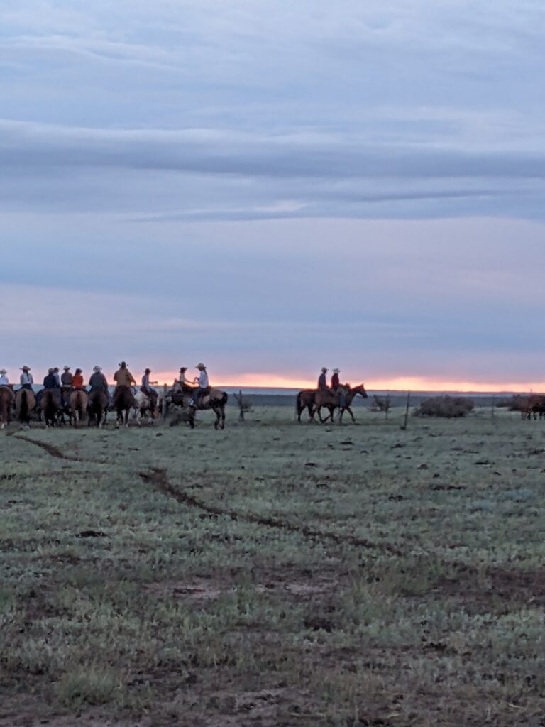 PXL_20250625_114222686