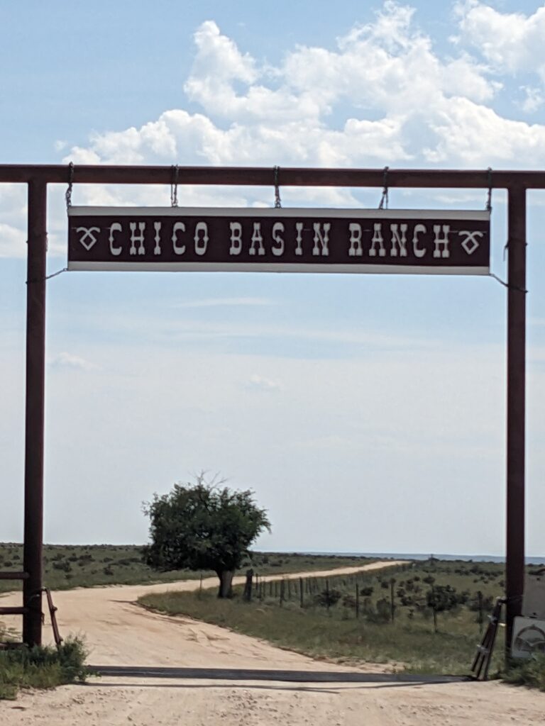 PXL_20250904_201424782