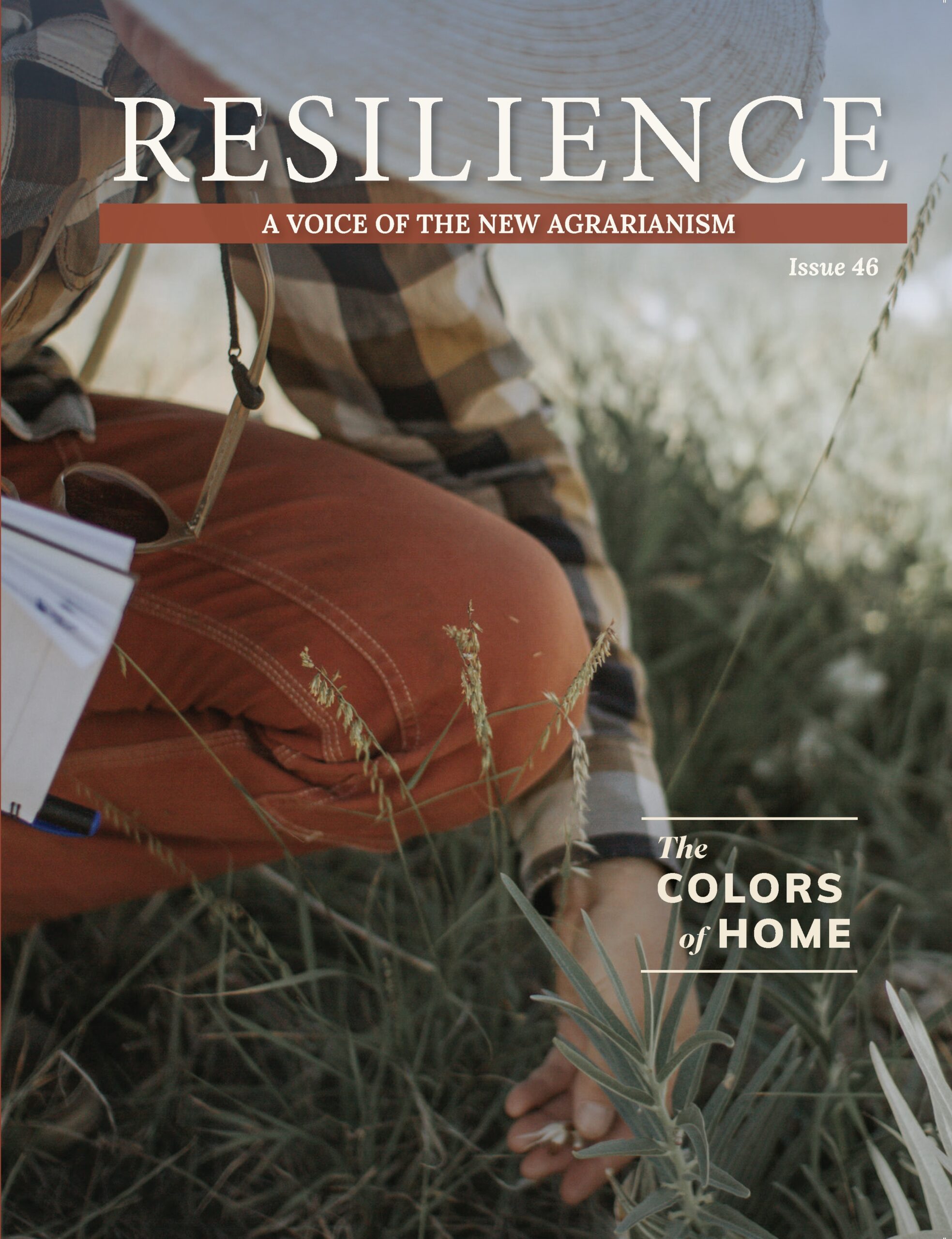 Resilience, Issue #46 - The Colors of Home, November 2025