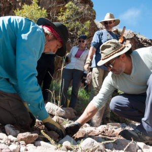 sPolen 2025 09 27 8213 Full Size Full Resolution