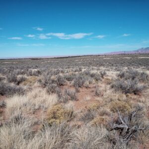 IMG 20241121 115614 2 1 scaled e1776271789136